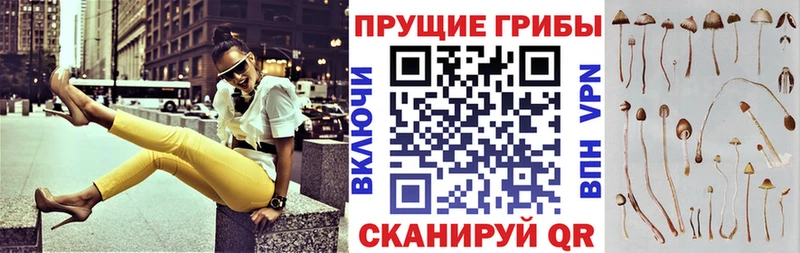 Галлюциногенные грибы Cubensis  Купить закладки  Карталы 